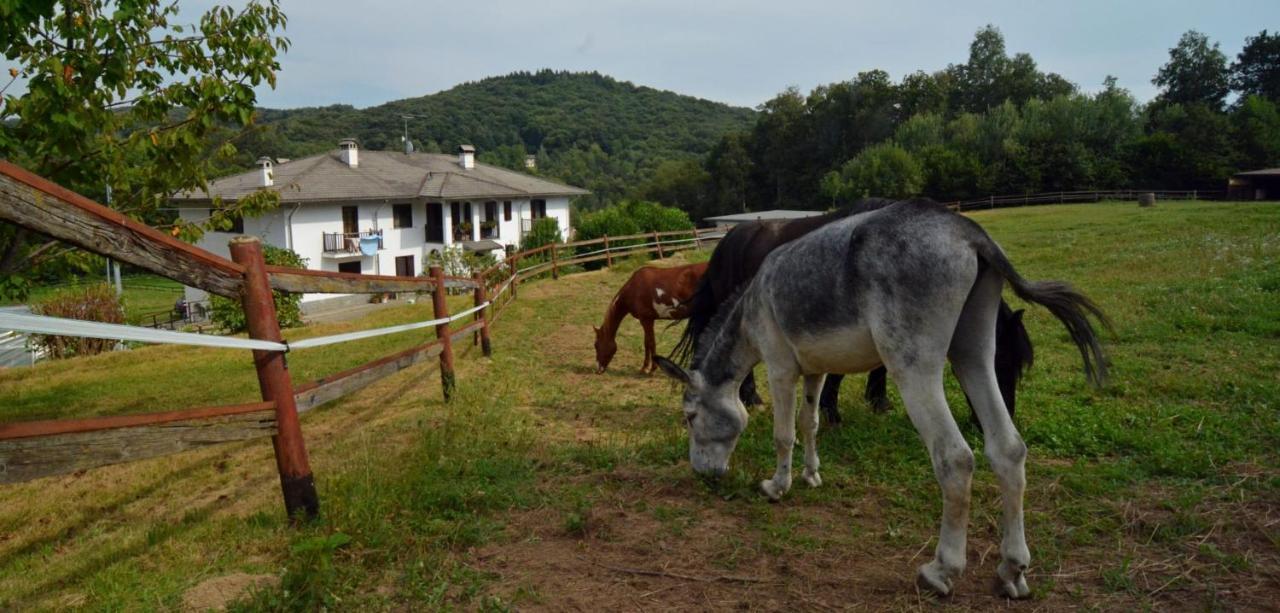 Favetto Family Ranch Bed & Breakfast Rueglio Exterior photo