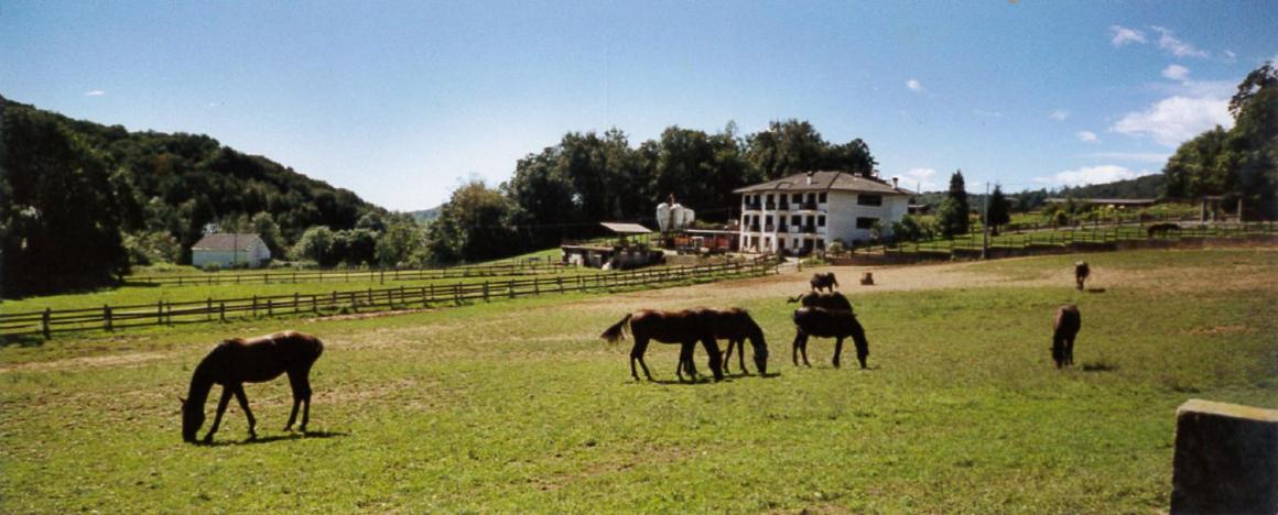 Favetto Family Ranch Bed & Breakfast Rueglio Exterior photo