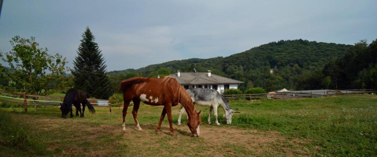 Favetto Family Ranch Bed & Breakfast Rueglio Exterior photo